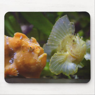 Antennarius commerson & Taenianotus triacanthus Mouse Pad
