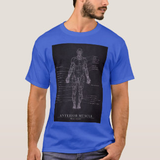Anterior Muscle Human Anatomy Blueprint Art T-Shirt