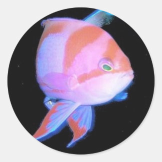 Anthias Classic Round Sticker