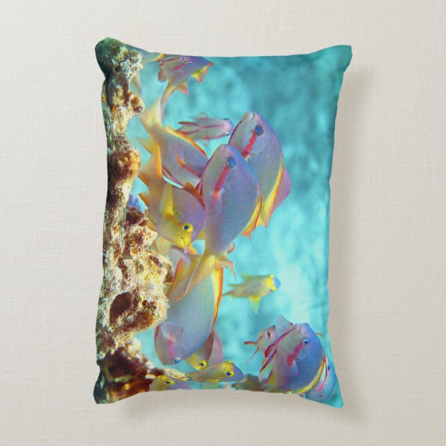 Anthias - Colourful school of fish at coral reef | Decorative Cushion (Back(Vertical))