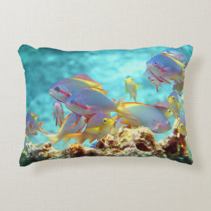 Anthias - Colourful school of fish at coral reef Decorative Cushion
