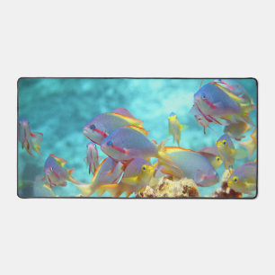 Anthias - Colourful school of fish at coral reef Desk Mat
