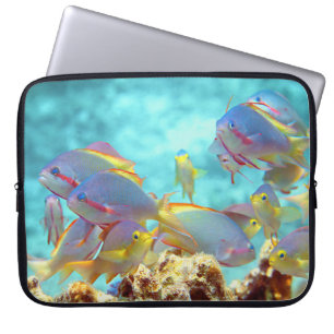 Anthias - Colourful school of fish at coral reef Laptop Sleeve
