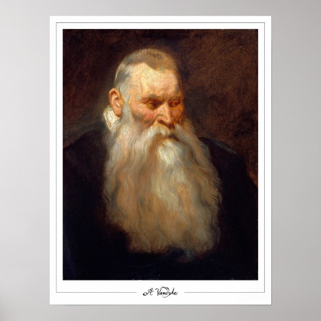 Anthony van Dyck Zedign Art Poster #543 (Front)