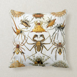 Anthropology Comfort Cushion