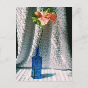 anthurium and blue bottle still life postcard