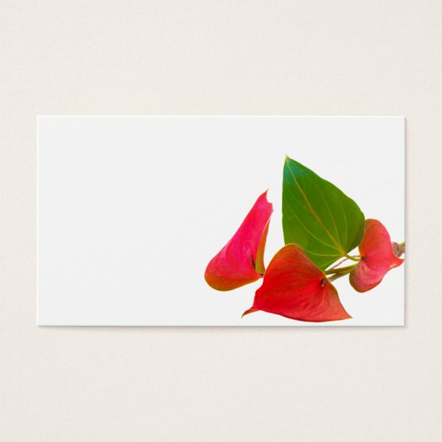 Anthurium flower (Front)
