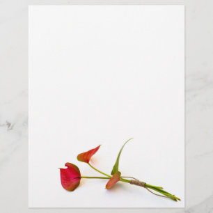 Anthurium flower