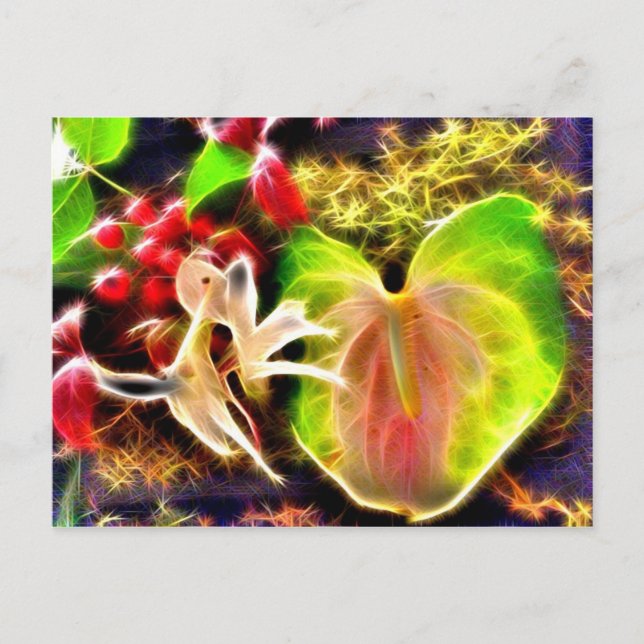 Anthurium Postcard (Front)