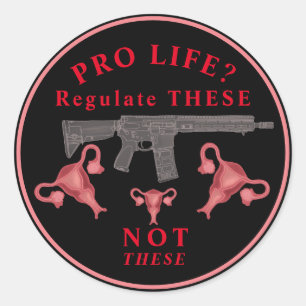 Anti Assault Gun Pro Choice Classic Round Sticker