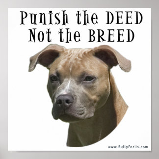 Anti-BSL Punish the Deed, Not the Breed Poster