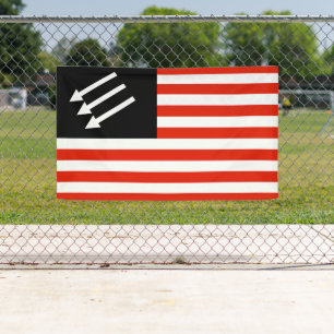 Anti-Fascist American Flag Banner