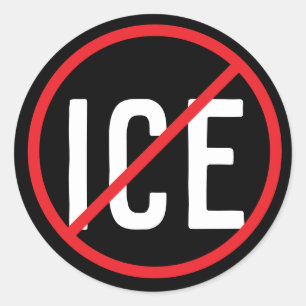 Anti ICE Classic Round Sticker