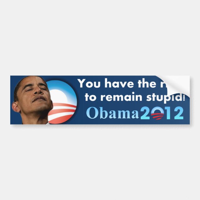 Anti Obama 2012 Bumper Sticker (Front)