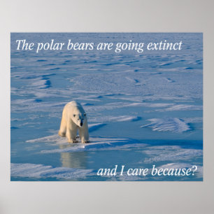 Anti-Polar Bears Poster