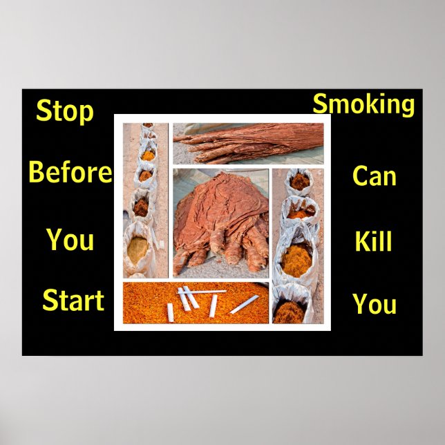 anti smoking posters many (Front)