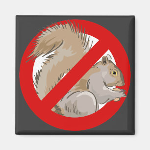 Anti-Squirrel Magnet