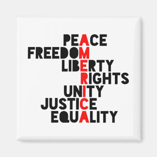 Anti-trump America Meaning1  Magnet