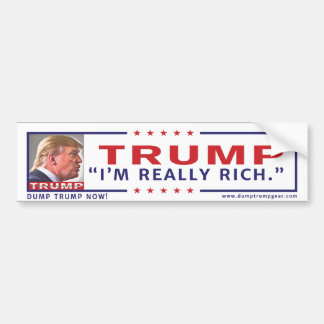 Anti-Trump Bumper Sticker