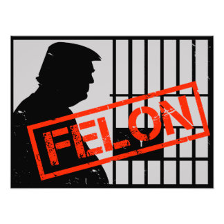Anti Trump Felon Convicted 20-24 Years for Prison Photo Print