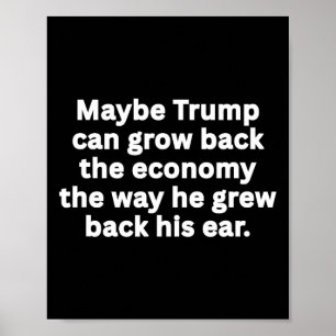 Anti-trump Funny Sarcastic Political Humour Satire Poster