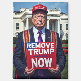 Anti-Trump Musk Remove Trump Magnet