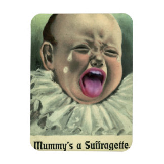 Anti-Woman's Rights Refrigerator Magnet