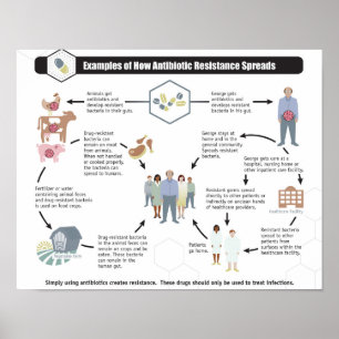 Antibiotic Resistance Health Wellness poster