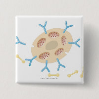 Antibodies Binding to Mast Cell