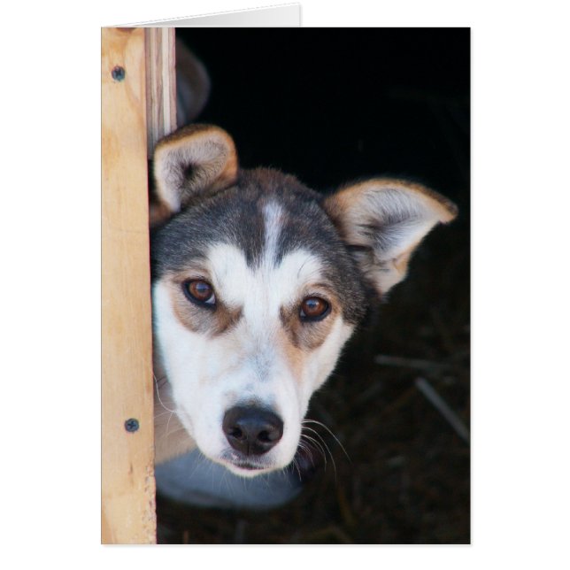 Anticipation (Front)