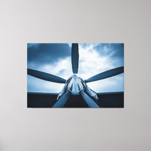 Anticipation Of Flight Canvas Print