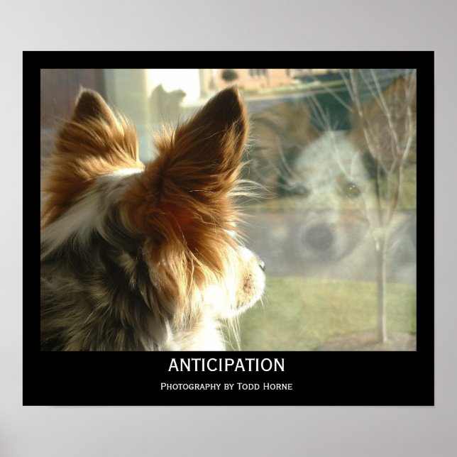 Anticipation Poster (Front)