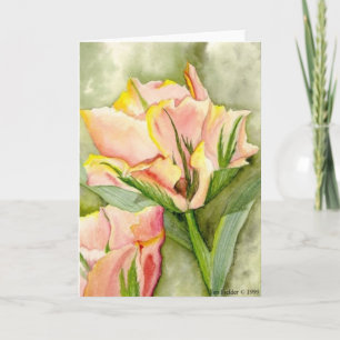 "Anticipation" to benefit Kairos Outside Card
