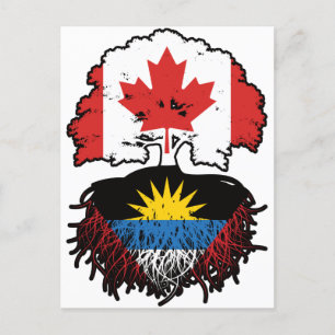 Antigua Antiguan Canadian Canada Tree Roots Flag Postcard