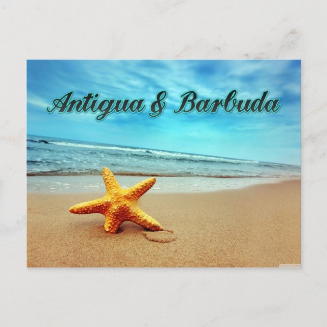 Antigua & Barbuda starfish Postcard (Front)