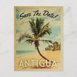 Antigua Save The Date Vintage Beach Palm Tree Announcement Postcard