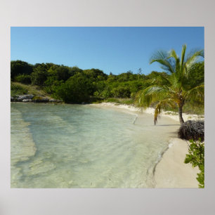 Antiguan Beach Beautiful Tropical Landscape Poster