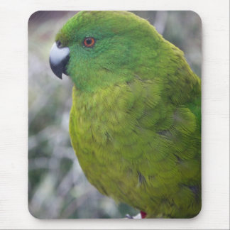Antipodes Island Parakeet Mouse Pad