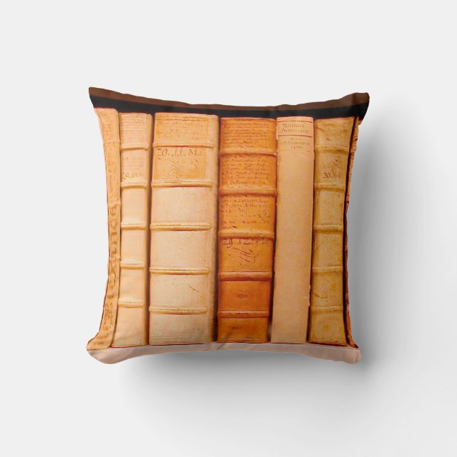 Antique 17th Century Leather Binding Books Pillow (Front)