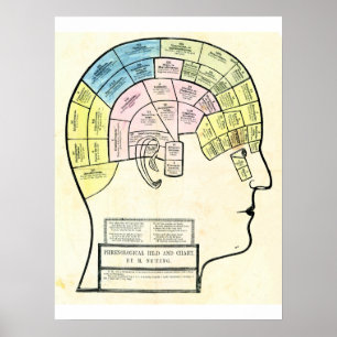 Antique 1857 phrenological head and chart