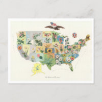Antique 1911 USA State Flowers Map
