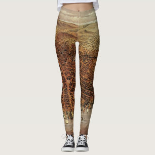 Antique Aerial Map, San Francisco City, California Leggings