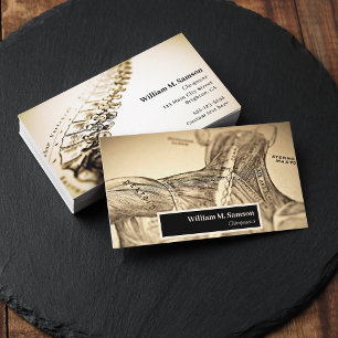 Antique anatomical illustration chiropractor business card
