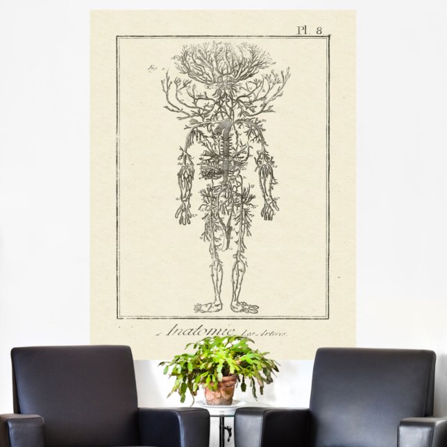 Antique Anatomy Engraving Arteries Poster (Creator Uploaded)