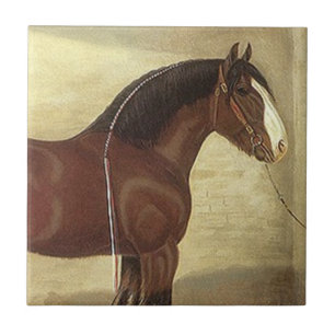 Antique Art Bay Clydesdale Draught   Horse Tile