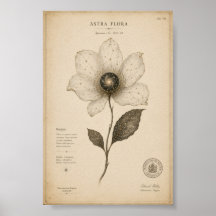 Antique Astronomy Flower Wall Art