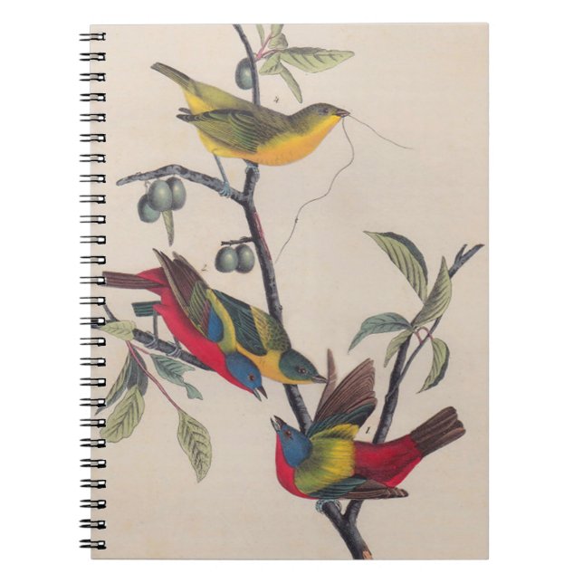 Antique Audubon Painted Bunting Bird Notebook (Front)
