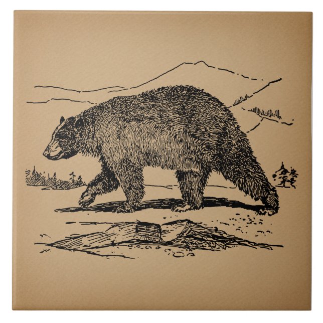 Antique Bear Art Illustrated Vintage Bear Ceramic Tile (Front)