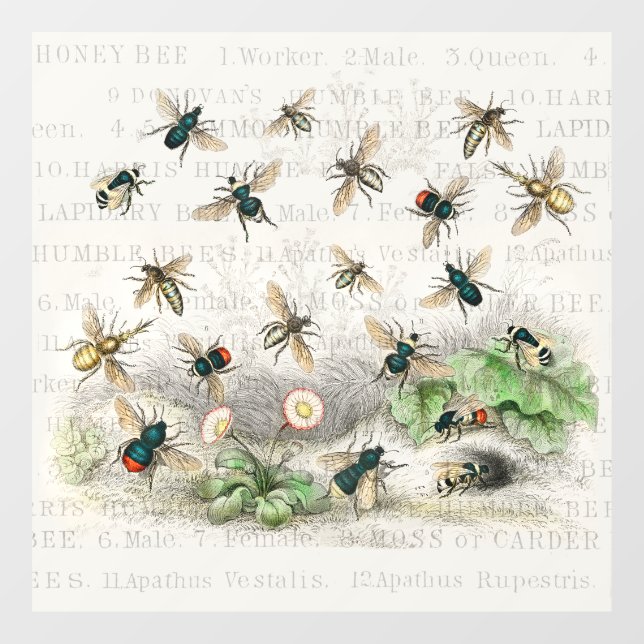 Antique Bee Honey Worker Queen Bees Vintage (Sheet)