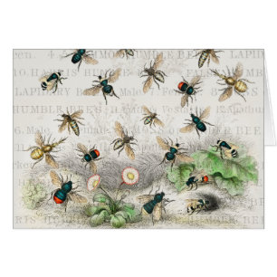 Antique Bee Honey Worker Queen Bees Vintage